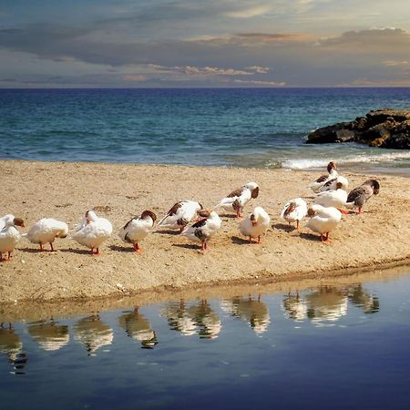 Aiolos Suite Sitia  Bagian luar foto